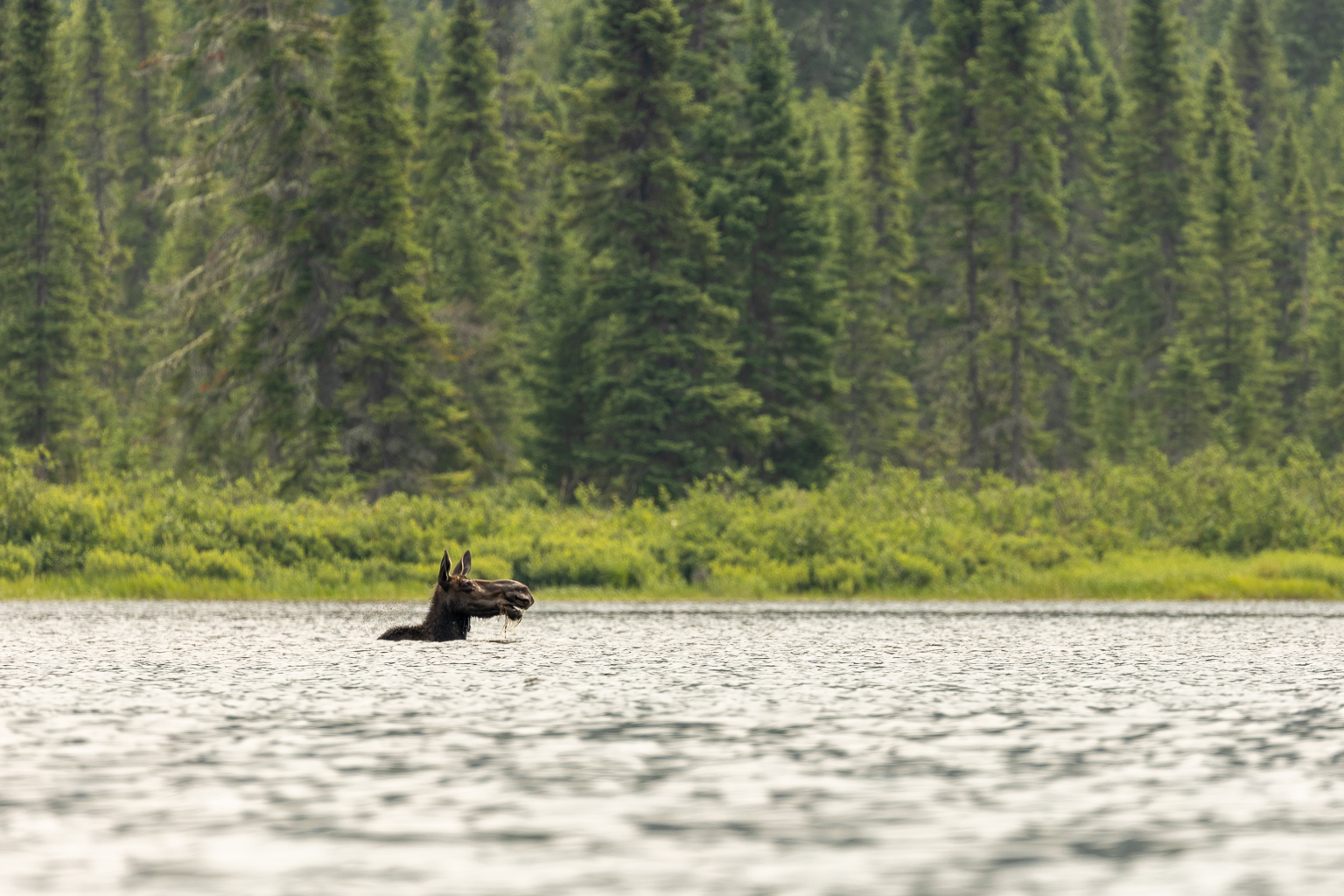 Camp to Teneriffe Lake paddling route gallery