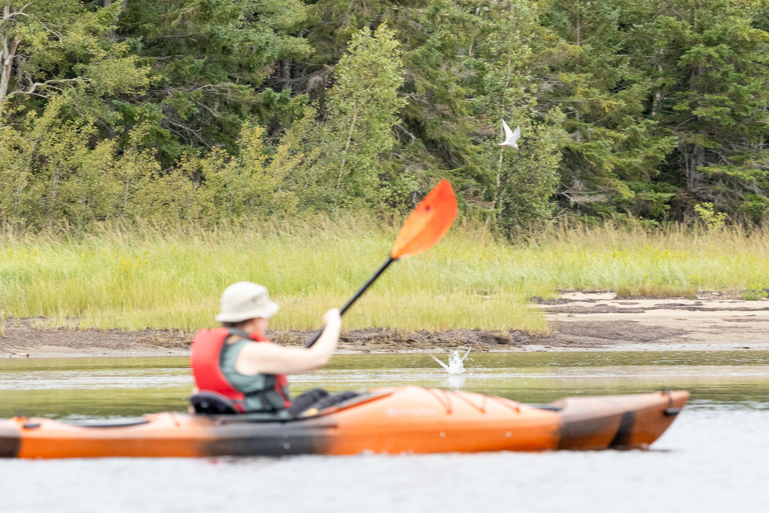 Kouchibouguac Lagoon