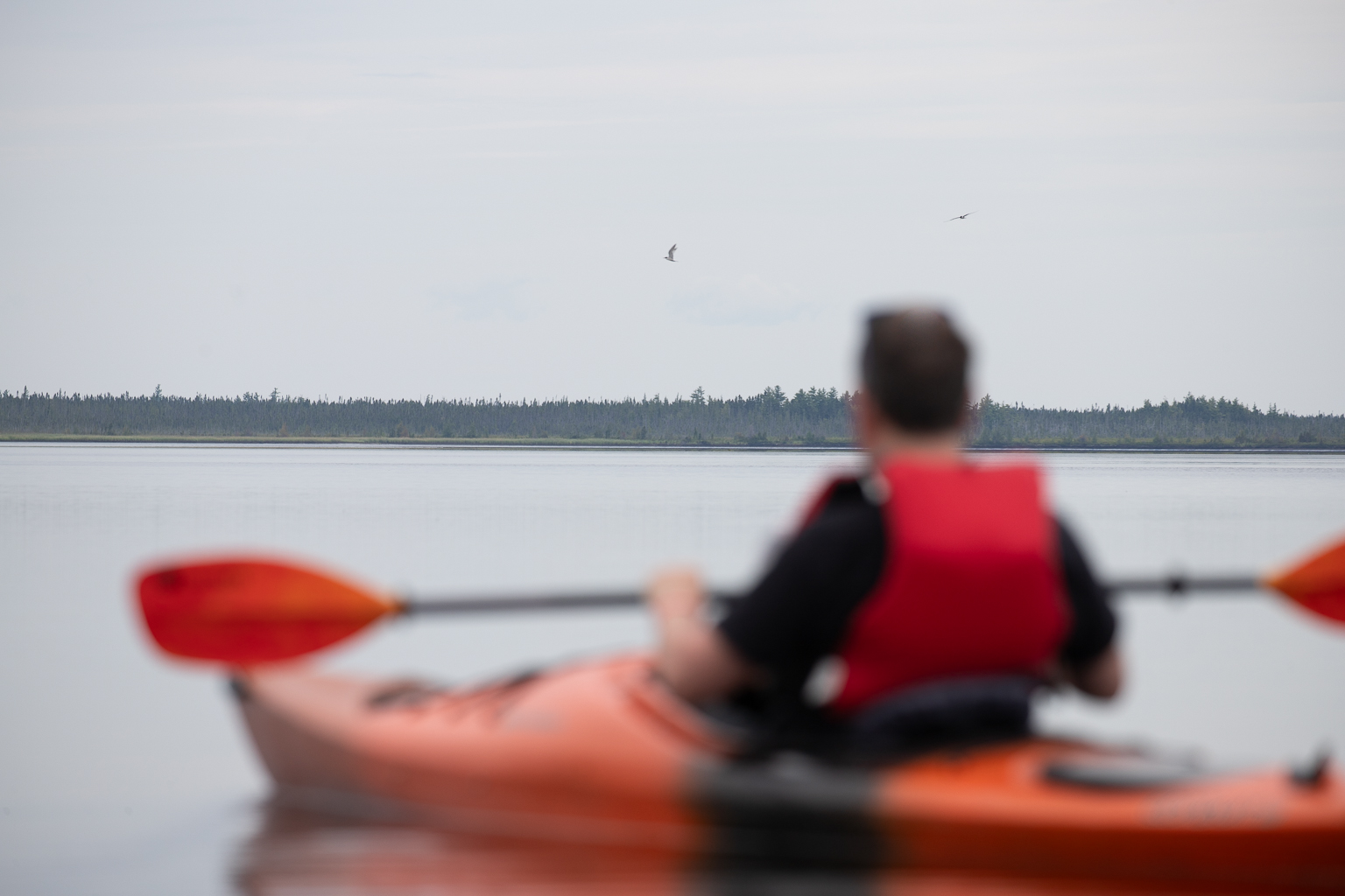 Kouchibouguac Lagoon