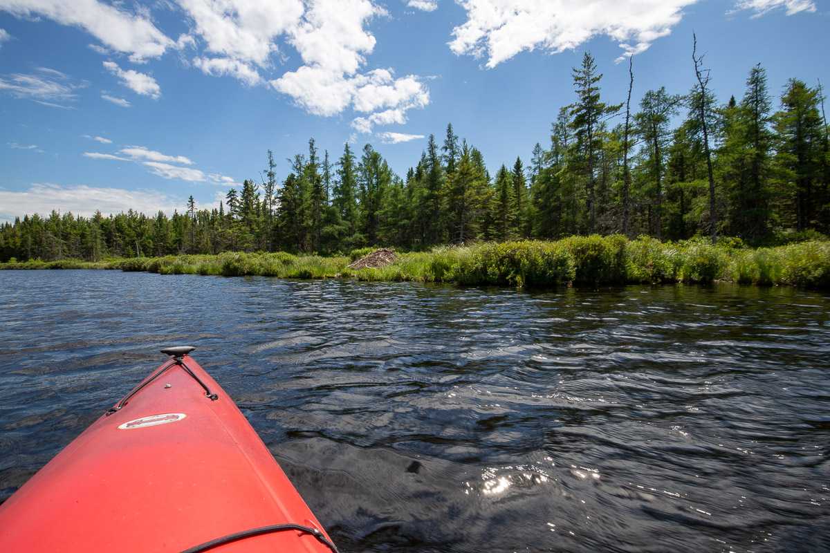 Hutte de castor dans le lac Mud à Blaney Ridge