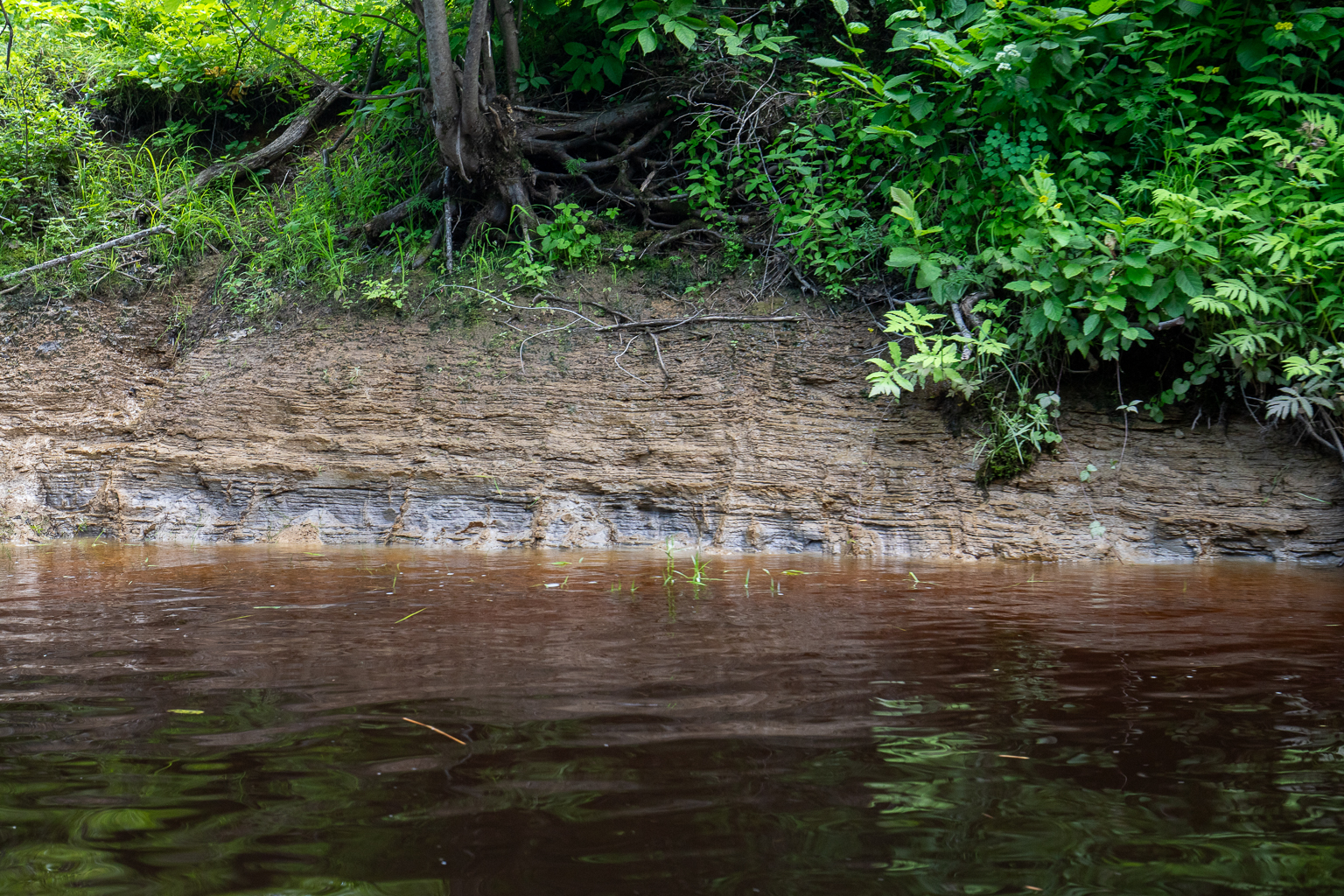 Layers of clay along the shores of Rusagonis Stream